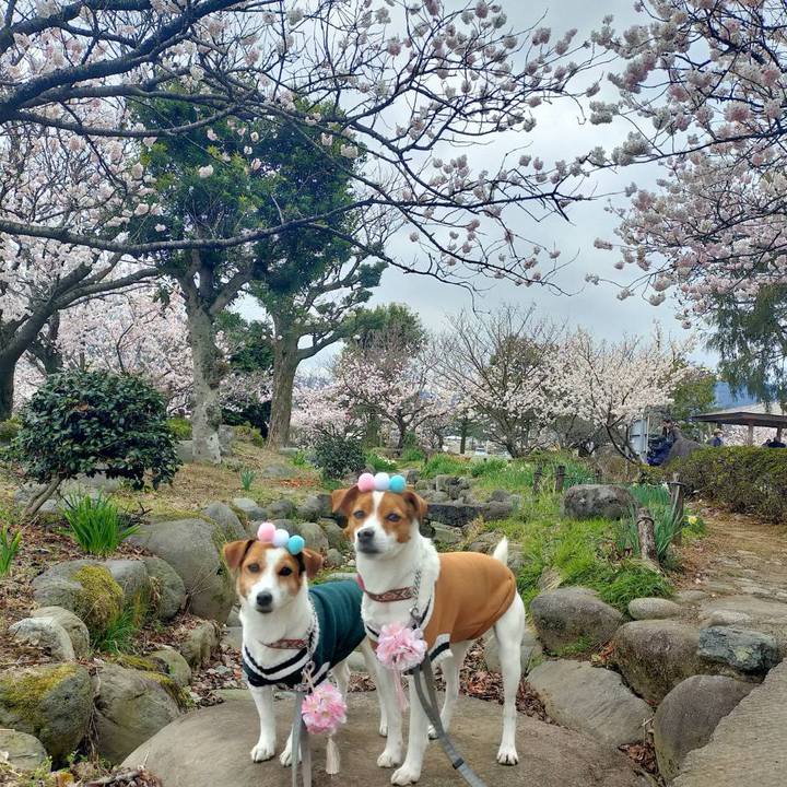 A0b709d0 9d2f 4934 b00f aca616f25977 1773656417857