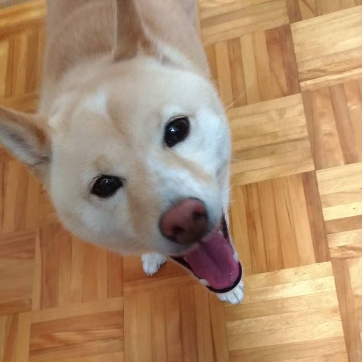 A0b71bde 1d84 4714 a310 80883aaa2cc0 1594507814248