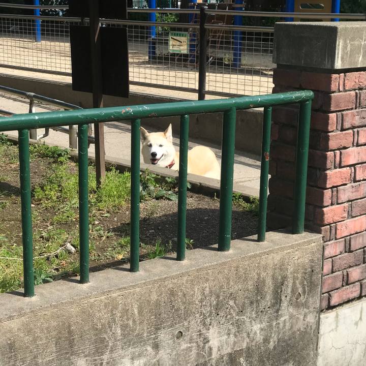 A0b78a59 f8ff 418e b94c c719abb4fe40 1683595273057