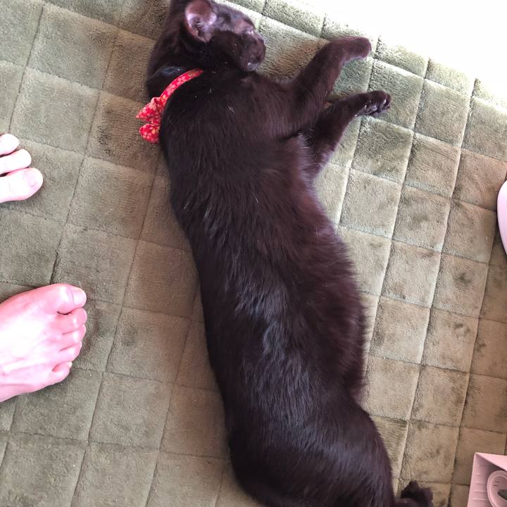 A0b79ae3 fb9c 4732 b841 8661d74bfc89 1522294439485