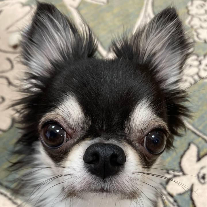 A0b7a49a 16da 4e49 91bd f6fd529e1d6f 1631312884699