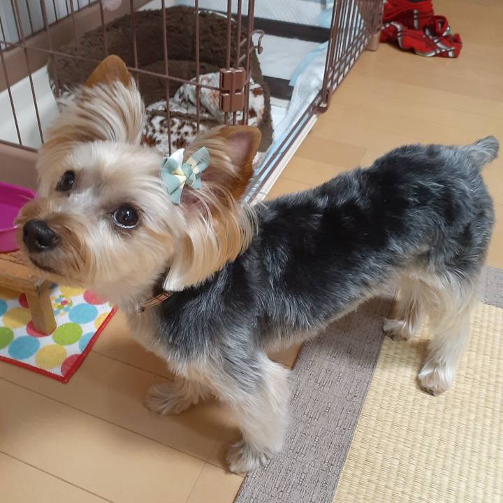 A0b7be80 ba2d 424e ae82 3ff0109e9f03 1591769503989