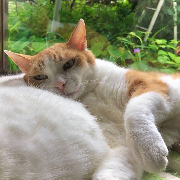 A0b7e070 7dba 4920 9a92 8e4b14bdcb5f 1625555824301