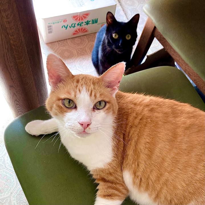 A0b7f988 28d3 4633 9c2b f438bedd1da8 1672370992310