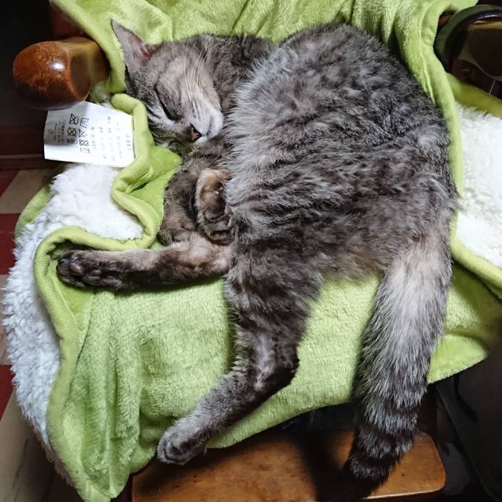 A0b802c4 2309 4ed6 880e a1ae9aa26848 1587375257431