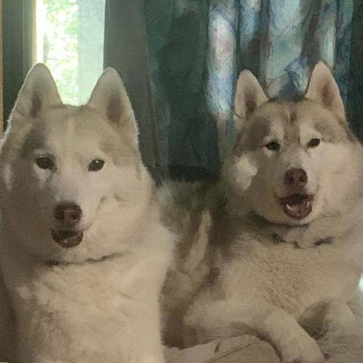 A0b825b5 a21e 46ce 9ec5 0900ebe9155d 1690081768717