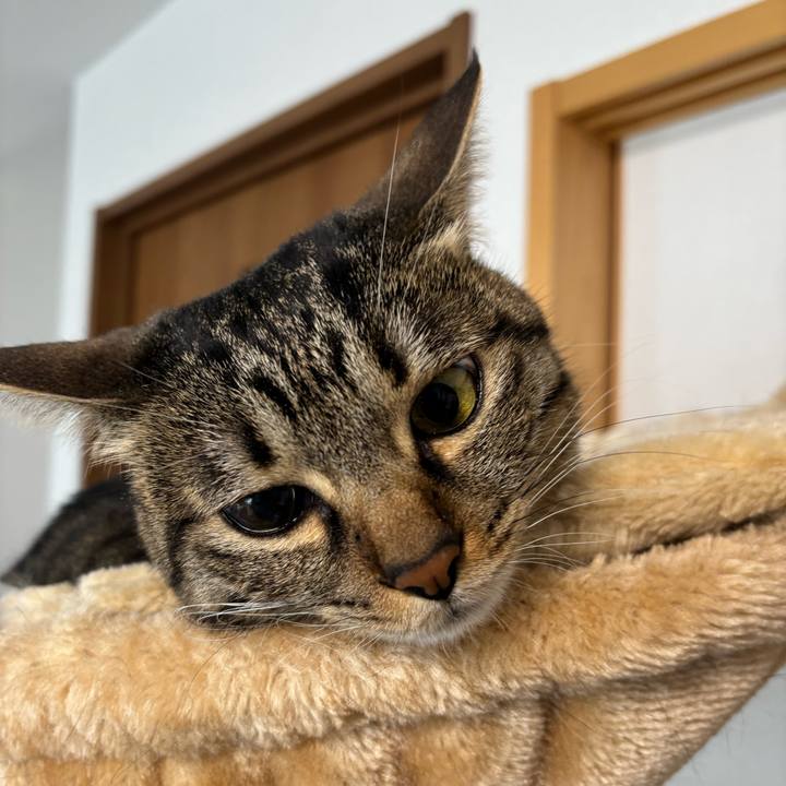 A0b84428 067a 47dd b8b0 e950368a56fc 1771551476342