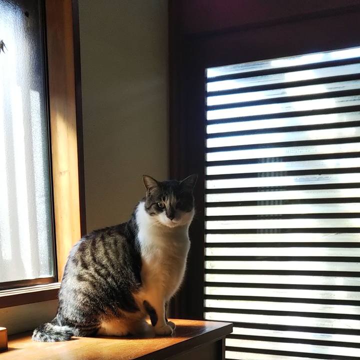 A0b84605 28b3 46dd b12c 232fbab9871a 1619412846636