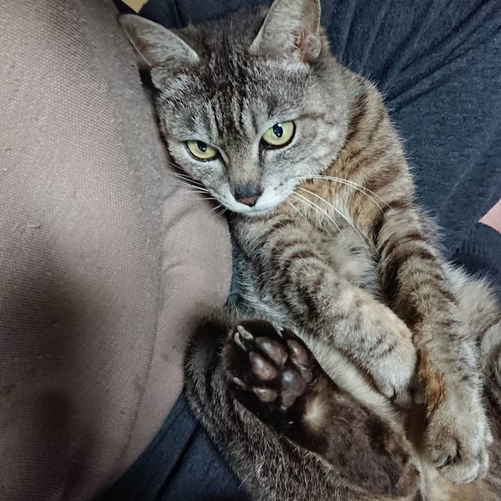 A0b8574f 3ee2 49d2 940c 99e27814be93 1560551753962