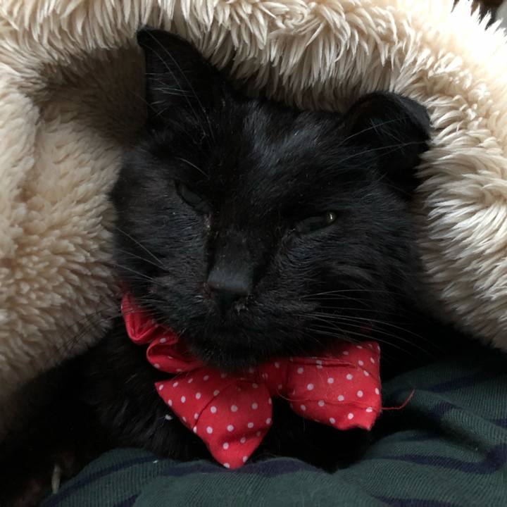 A0b882ee 8251 4cb0 9ac7 2322c300e600 1557264603886