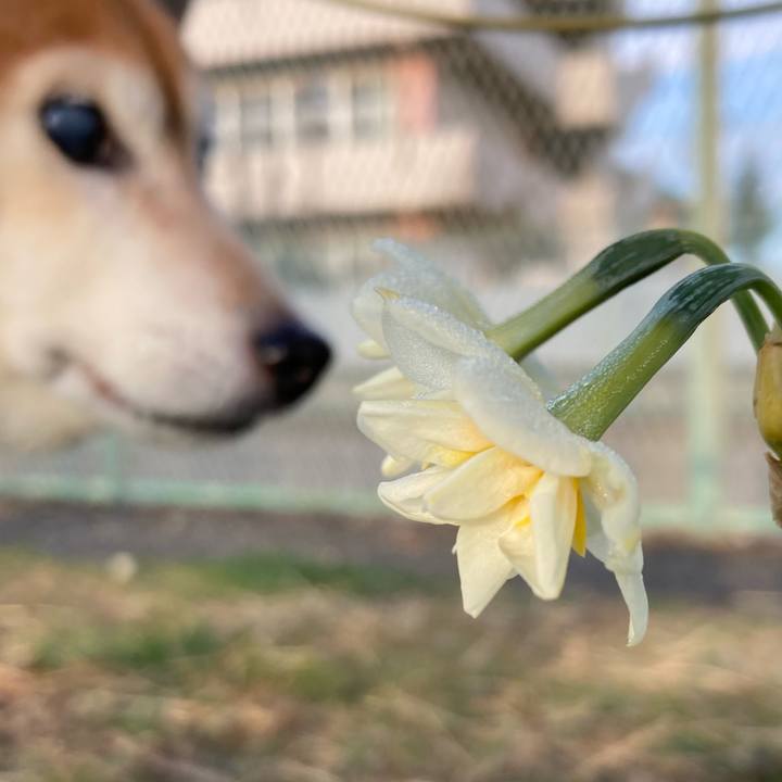 A0b893ab 3a89 46af 80b4 70997c1bb16d 1705967306152