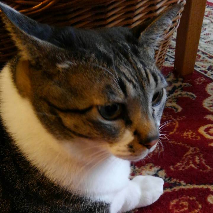 A0b8b1d3 b6ef 4e8a a77c 024cdb91f7ef 1511098120674