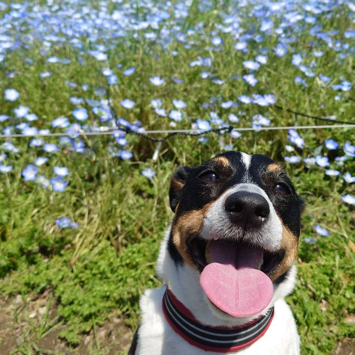 A0b8b3c2 6db8 4d73 ba80 918f1756d8e7 1745756370833