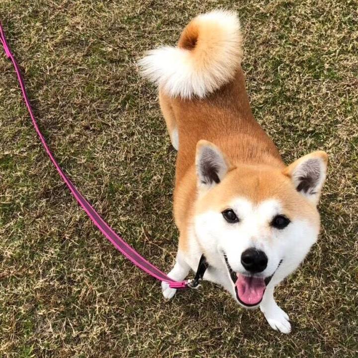 A0b8b58a b293 4996 a1b3 2c2e6e0de027 1586494537562