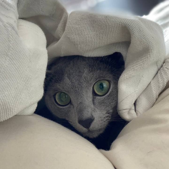 A0b8cae5 3c21 4c73 90b0 c4c6dab43276 1639524868253