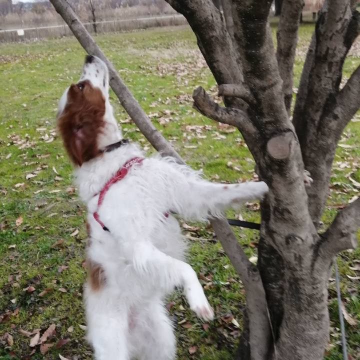 A0b8d876 984a 4239 96ec 7cda1f285e48 1578831698429