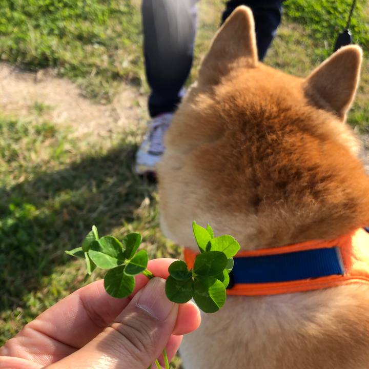 A0b8e550 4c2e 4773 b1d1 d9aacce0ea16 1572844164429