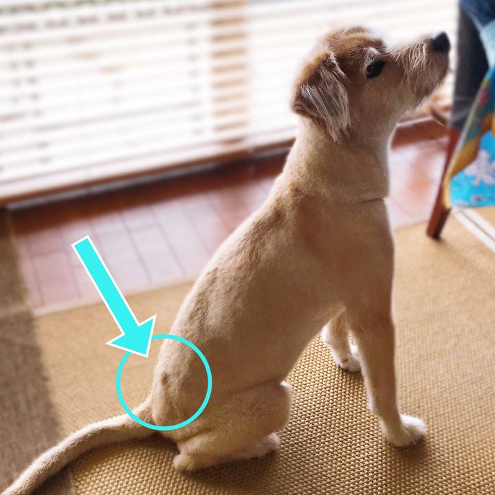 A0b9094c 4074 41f4 affc 81f6adafdd42 1598858310361