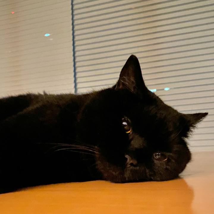 A0b96ea8 3337 48a4 9379 6d2cb08de97b 1687005374368