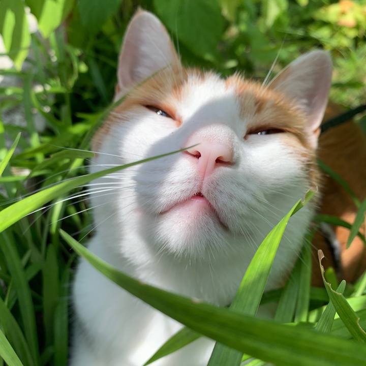 A0b9e0f3 4d64 44cb 8f8f daf380a9ab87 1624596993631