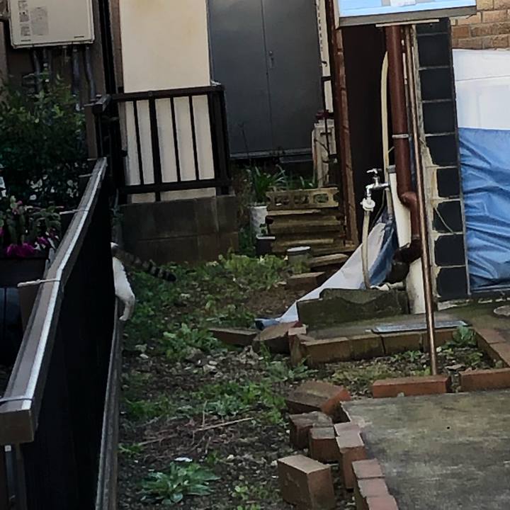 A0ba46e0 6589 4700 a7ed 9ee65da60888 1546655762053