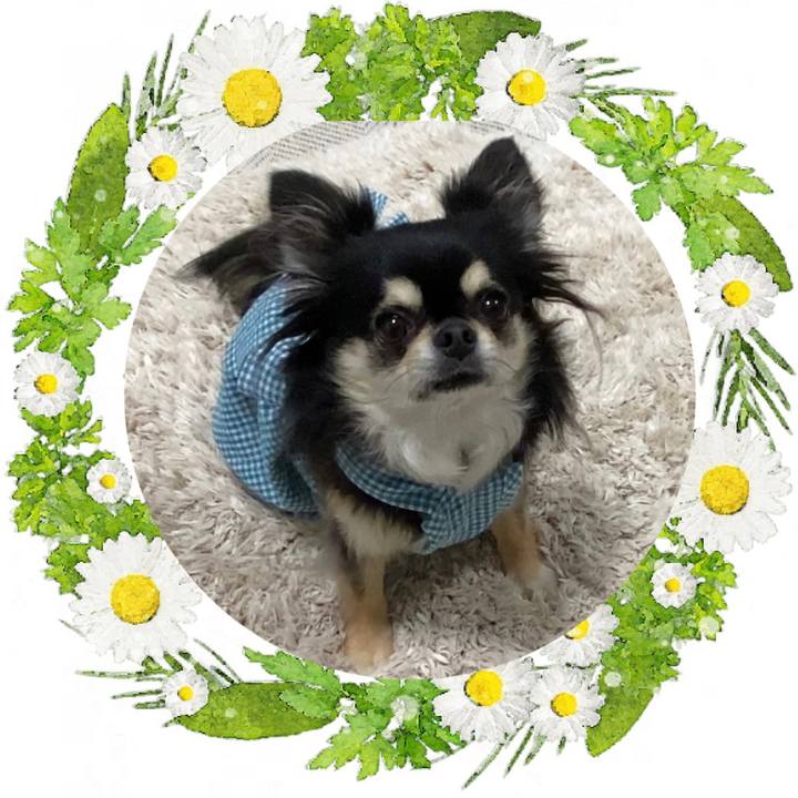 A0ba4c95 fab6 4a92 a3d8 b4ce28d75cd0 1660349539743