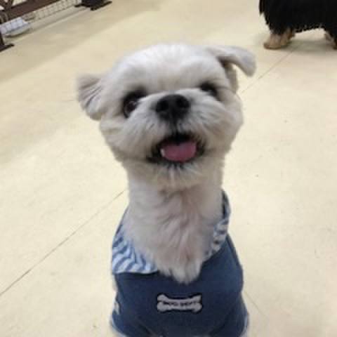 A0ba6627 6c3f 4de9 9d71 19e1f8983a69 1510661396189