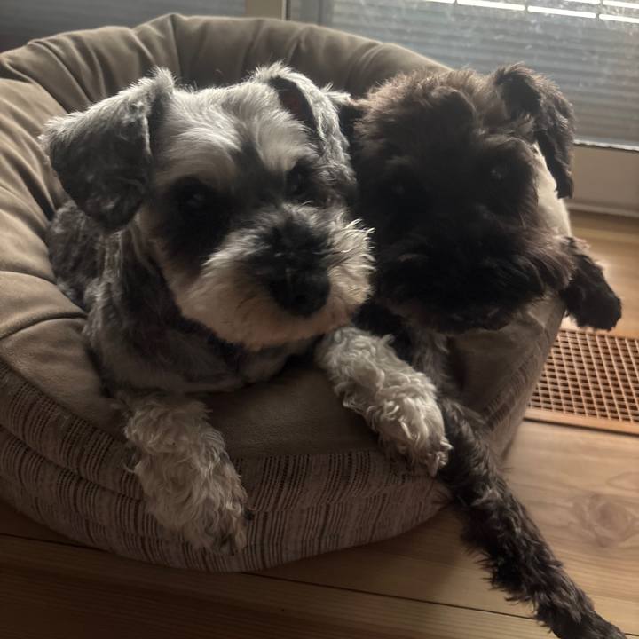 A0baa646 7c65 40ea b542 06ef7ca0826f 1746513630158