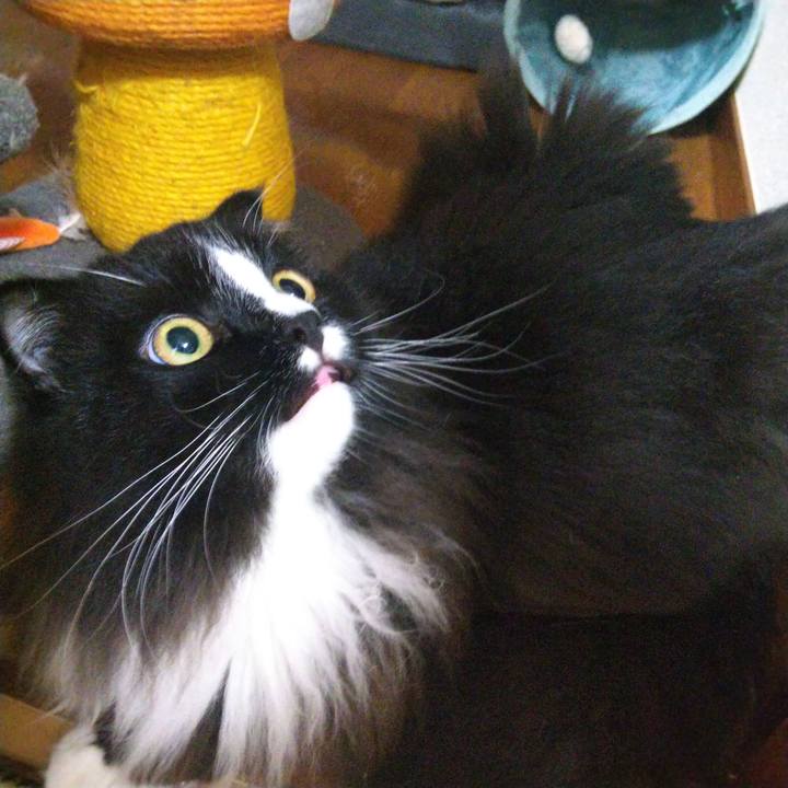 A0baf1fb cec3 4175 a95e 81ac6a4f4bfd 1658131362318