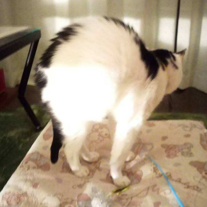 A0baf7ce 25fe 400b a1be 9966409bd04b 1568383240362