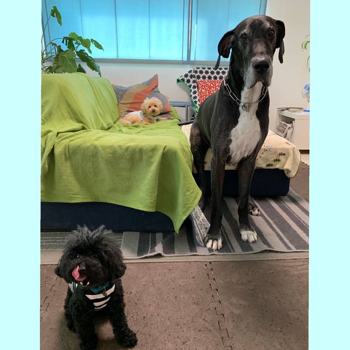 A0bb2160 b36e 4595 b189 a5820bdcd4ee 1558651242940