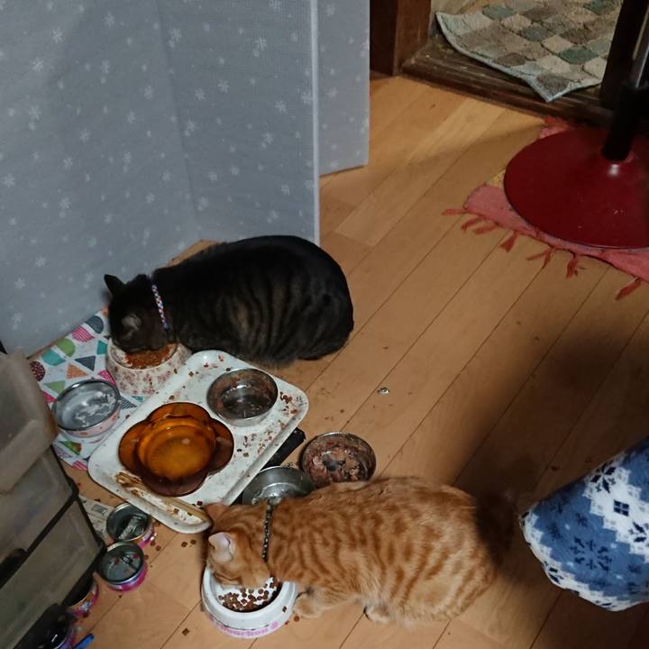 A0bb2b8d 2929 4b40 9751 a6a3f14cf6eb 1643110419524