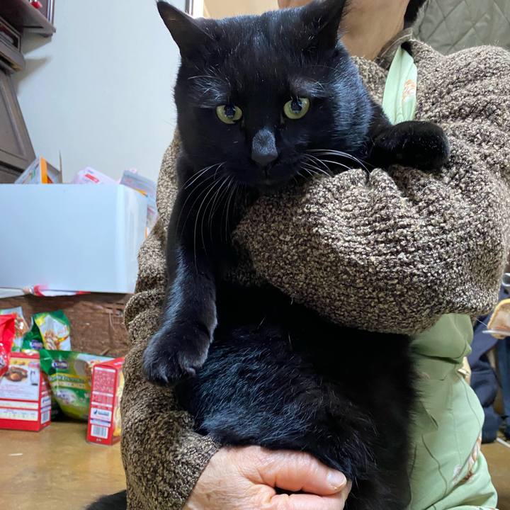 A0bb8933 c239 43e3 b16b 52064a5381e3 1669711496496