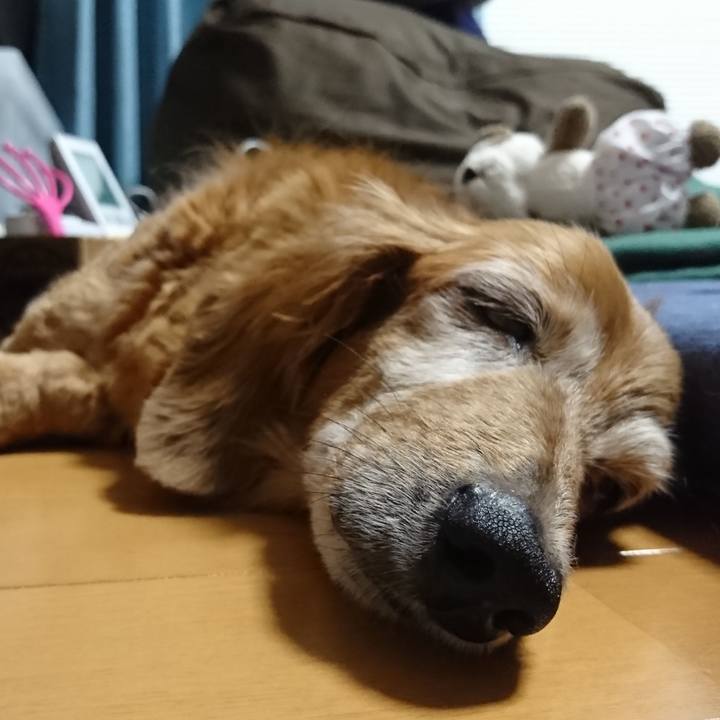 A0bbae02 4ceb 44b5 941f f4bb6bda123b 1588181347751