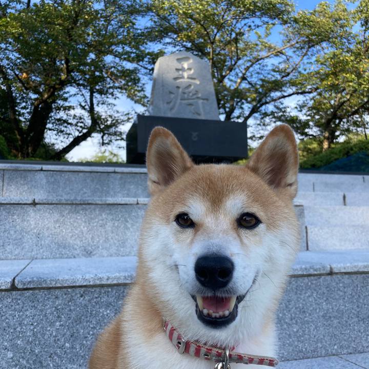 A0bbbe49 e436 4880 b0b0 4f5b609f1bff 1757201223208