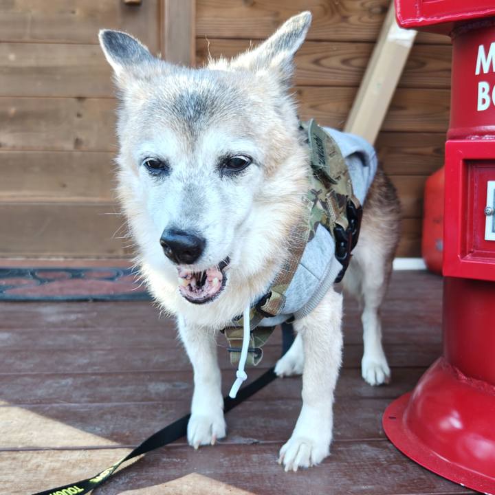 A0bc358d 85c7 470c 9727 60cdad82c461 1764476748462