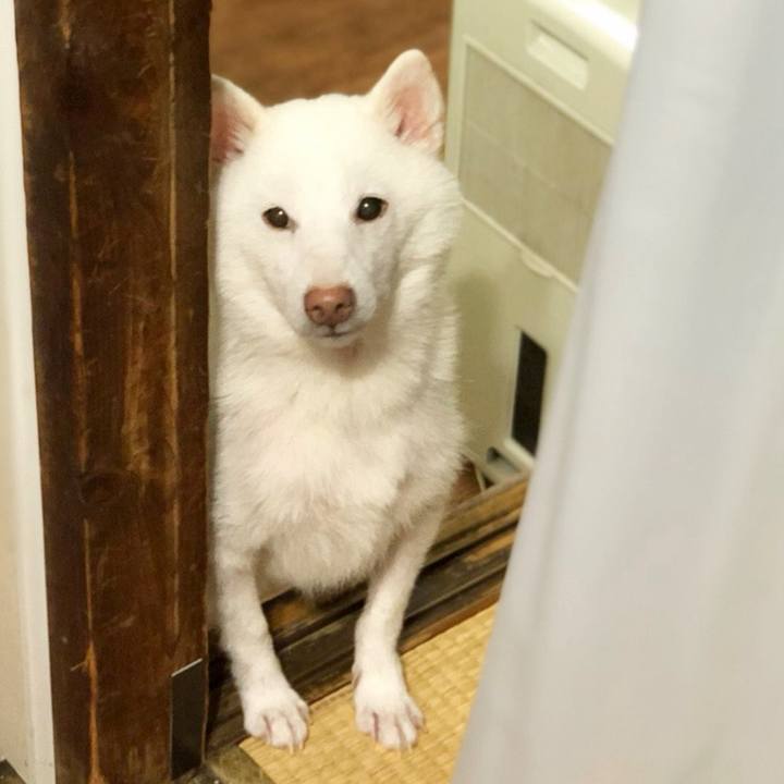 A0bc3f9a 97a0 4b99 996a e2ff16a6f184 1725159974157