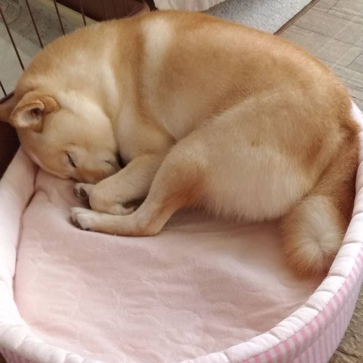 A0bc97f0 fcd0 4d28 8dbd e38ecfedfd3f 1599018009826