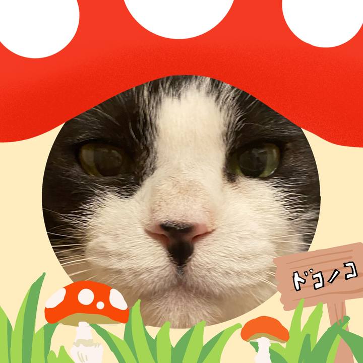 A0bcaeb3 6837 43a3 8258 1fe8be8eddfe 1729338725222