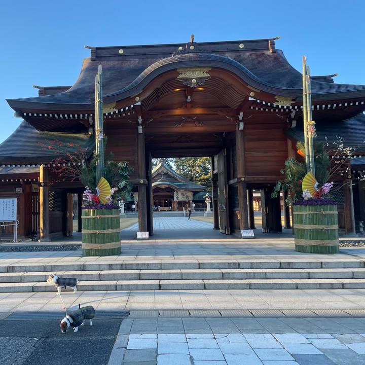 A0bcbe43 353b 4351 a0c8 9c1472cc9782 1766967445631