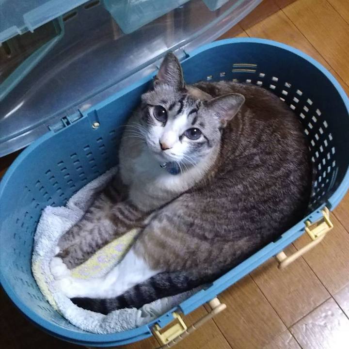 A0bd2638 c60c 474c a7cc 0b88d6b7cd82 1564575561823