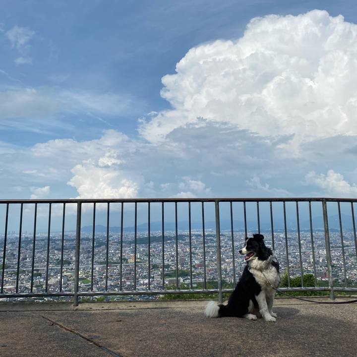 A0bd3365 84a0 4c9d a800 652845b31031 1627896844277