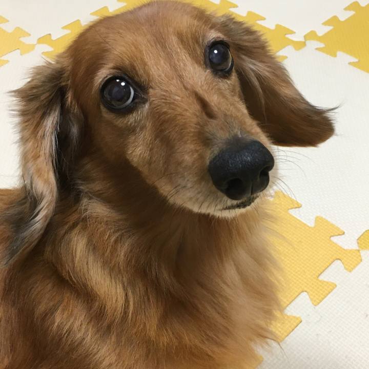 A0bd3ca9 80f4 4595 ae4f d24d7409a17d 1575122034614