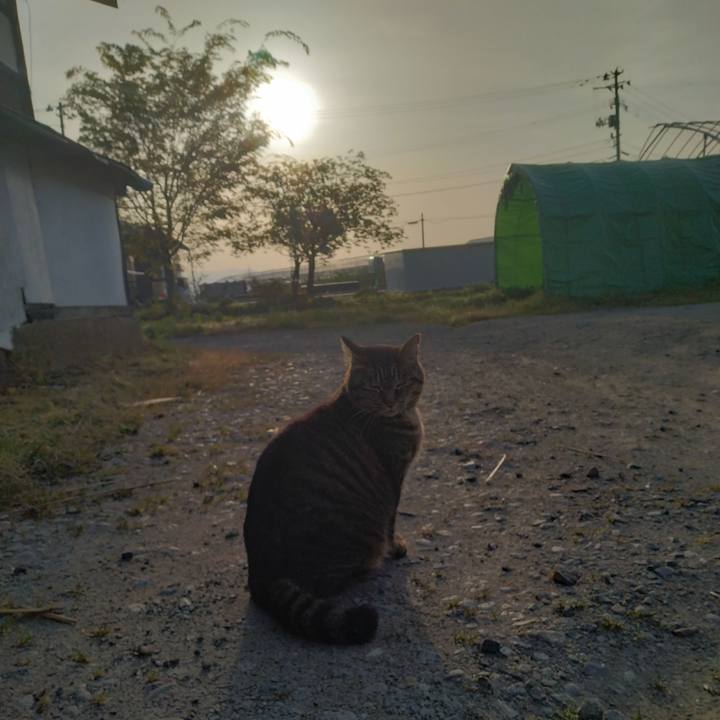 A0bd7a4e 3fdb 40f8 b855 b58ec3a06df7 1683237165572