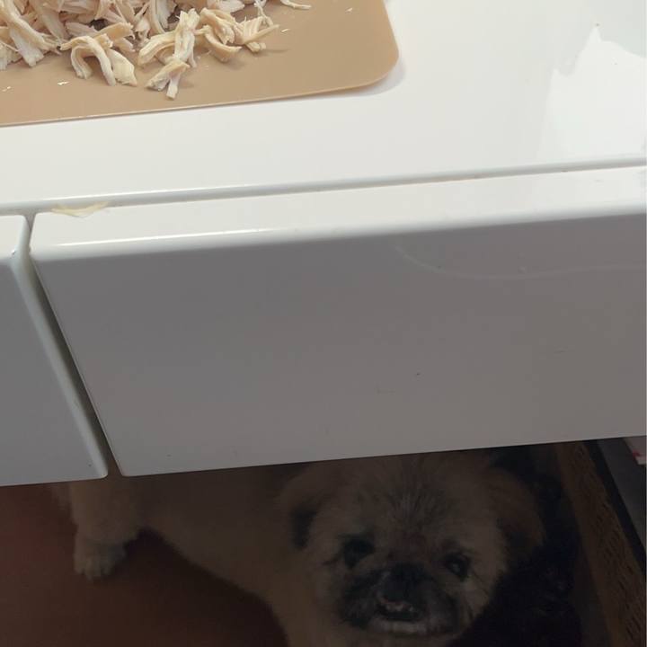 A0bd860d 57a9 4423 81de f074f1810587 1768795525199