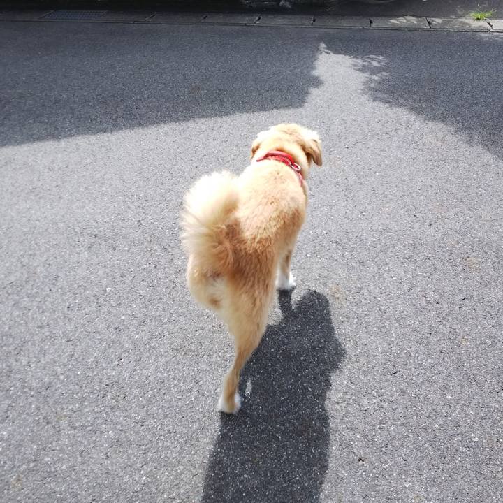 A0bdc37a 187e 4ed0 a69a b21173ac34e1 1531391216436