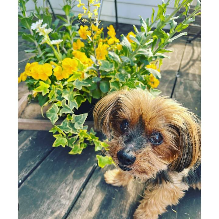 A0bddcfb 3fdd 46be be7c d61ab50b5ae5 1681946500723