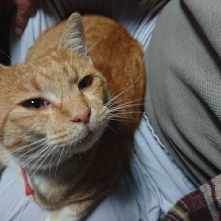 A0bddd7d 41ff 4f54 916e aea7f46d67c6 1573470099433