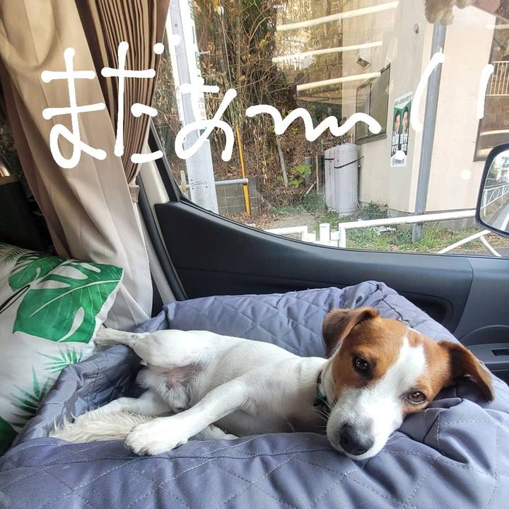 A0bdf369 dc89 42a1 8f5b fd4c7a5a59da 1672206874430