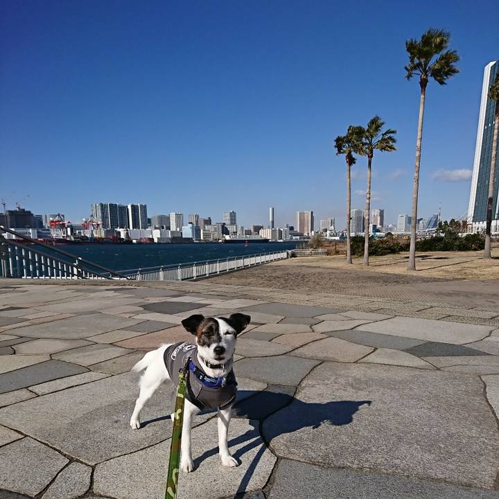 A0be29ef 805e 4a2e 806f 1727eaf4f8b7 1514945732308